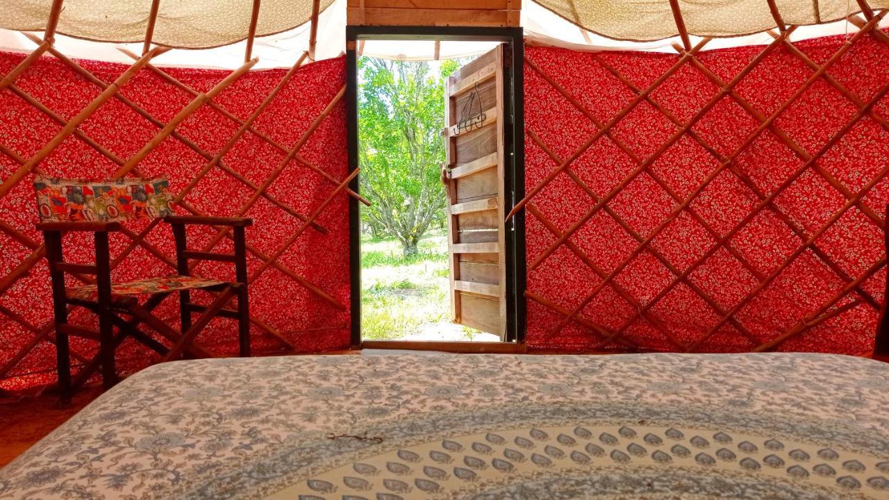La Pacha Hostel 바리차라 외부 사진